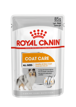 Royal Canin – Coat Care – Pasztet – Pies – Karma Mokra – 85g – Miskakarmy.pl