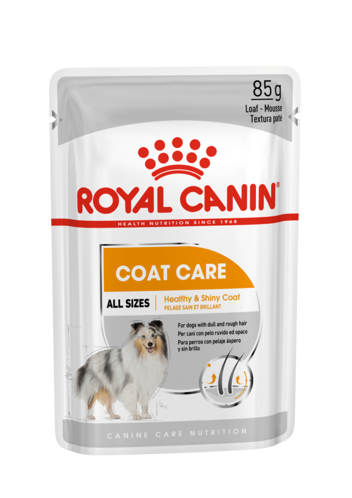 Royal Canin – Coat Care – Pasztet – Pies – Karma Mokra – 85g – Miskakarmy.pl