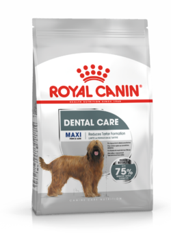 Royal Canin – Maxi Dental - Pies - karma - sucha – 3kg – MiskaKarmy.pl