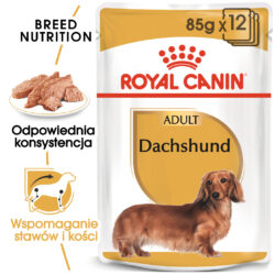 Royal Canin – Dachshund Adult – Pasztet – Pies – Karma Mokra – 85g – Miskakarmy.pl