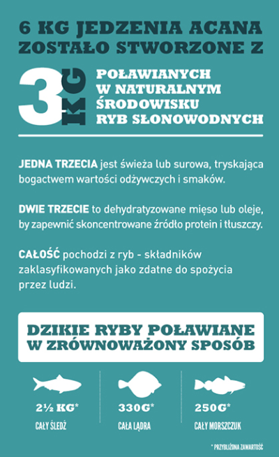 Acana Classics Wild Coast - sucha karma dla psa - infografika-1 - MiskaKarmy.pl
