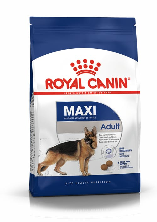 Royal Canin - Maxi Adult - sucha karma - MiskaKarmy.pl