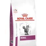 Royal Canin – Renal - Kot - karma sucha – 4kg – MiskaKarmy.pl