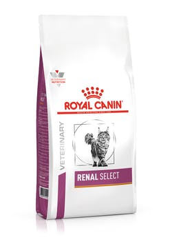 Royal Canin – Renal - Select - Kot - karma sucha – 4kg – MiskaKarmy.pl