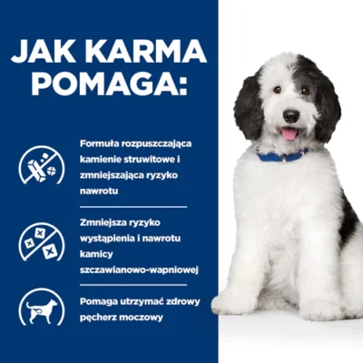 Hill's - Prescription - c/d - Gulasz - Pies - Karma Mokra - MiskaKarmy.pl