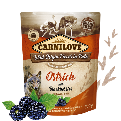 Carnilove Ostrich with Blackberries - 300g saszetka dla psa miskakarmypl