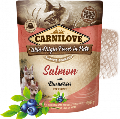 Carnilove Salmon with Blueberries for puppies - 300g saszeka dla szczeniąt miskakarmypl