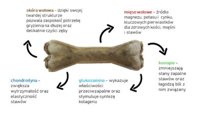 Syta Micha - kość funkcyjna do żucia na mocne stawy - infografika - MiskaKarmypl