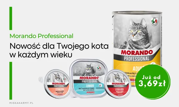 Nowe karmy dla kotów od Morando