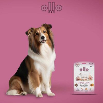 Ollo - Air - Dried - Lamb - Dla - Psa - PiesMiskakarmy.pl