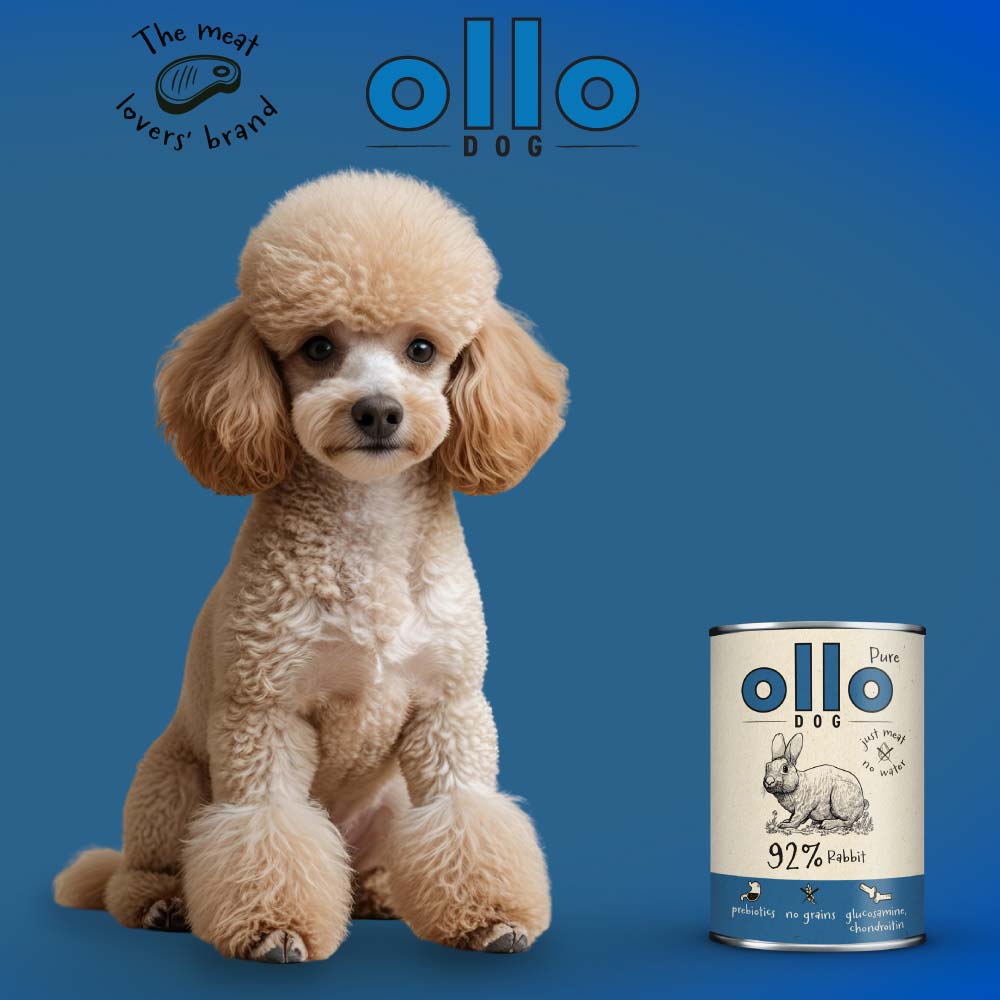 Ollo - Królik - Mokra - Karma - Dla - Psa - Pies - MiskaKarmy.pl